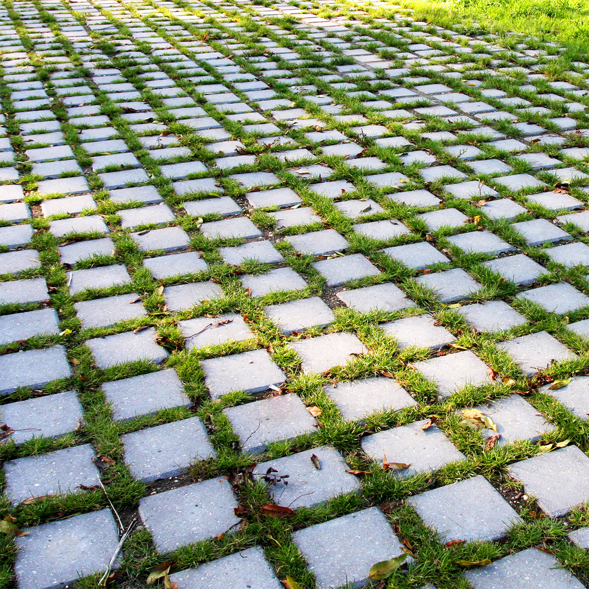 Groene toekomst