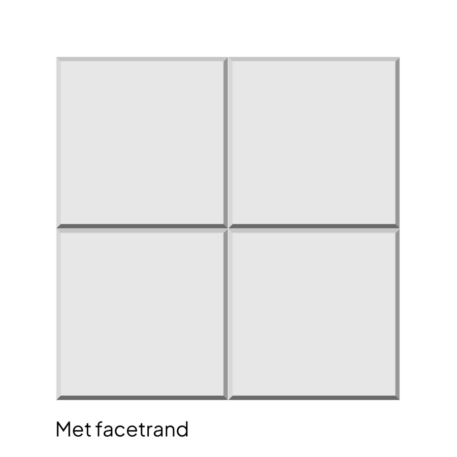 Detailafbeelding van een  antraciete