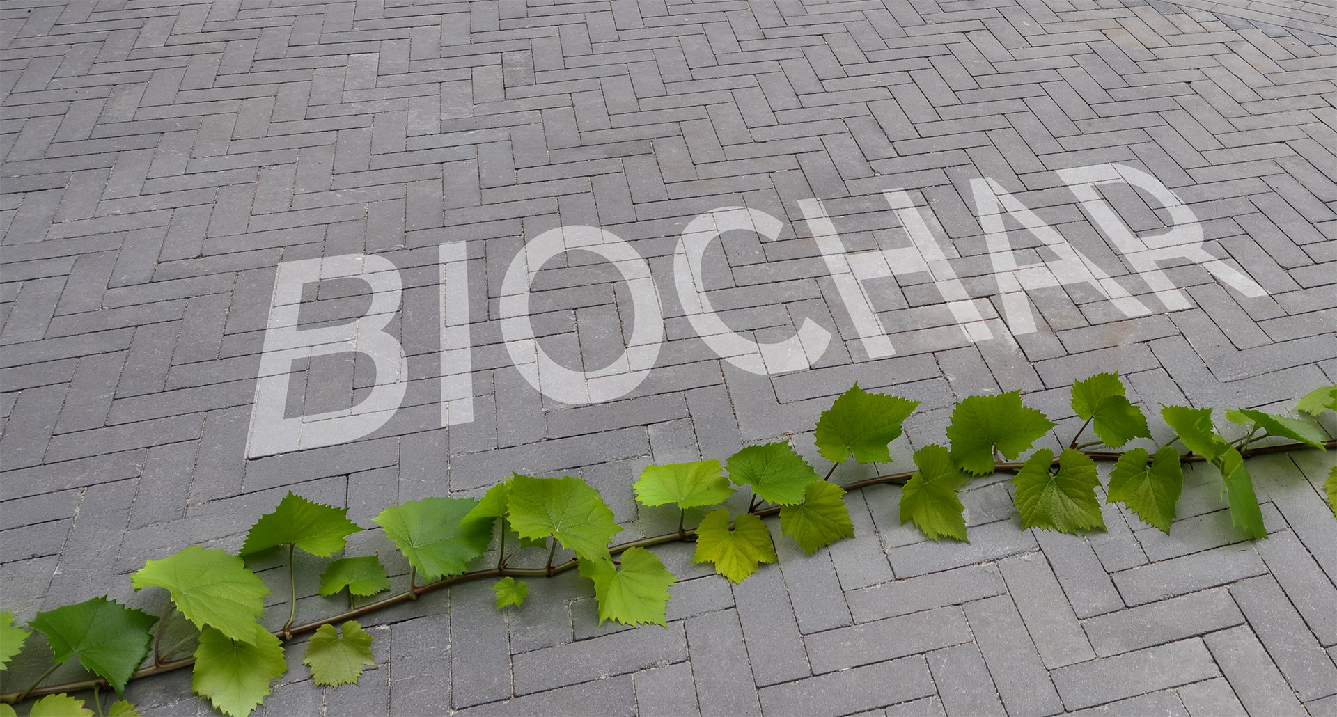 Biochar